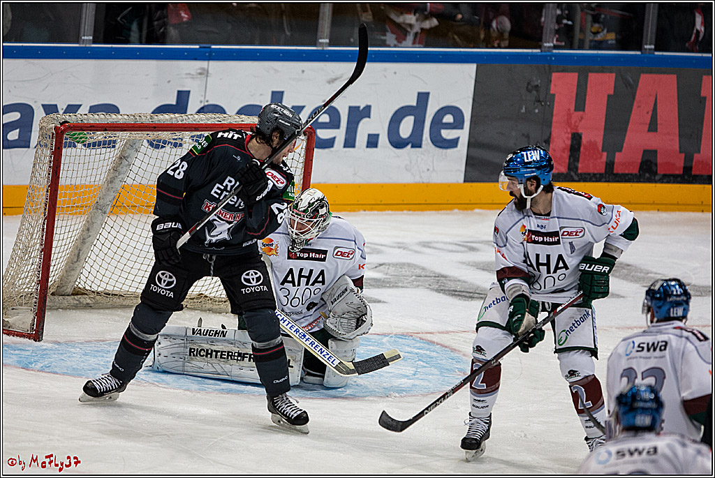 DEL, Koelner Haie - Augsburger Panther, 13.01.2017